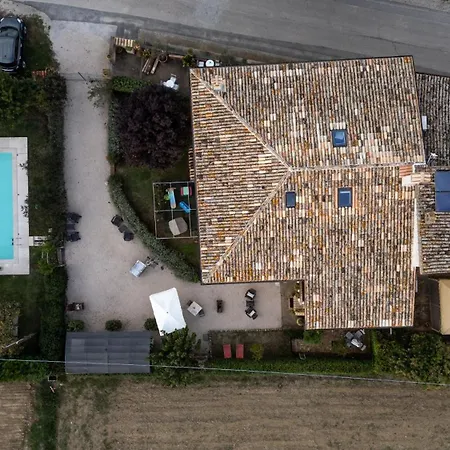 Cardarella